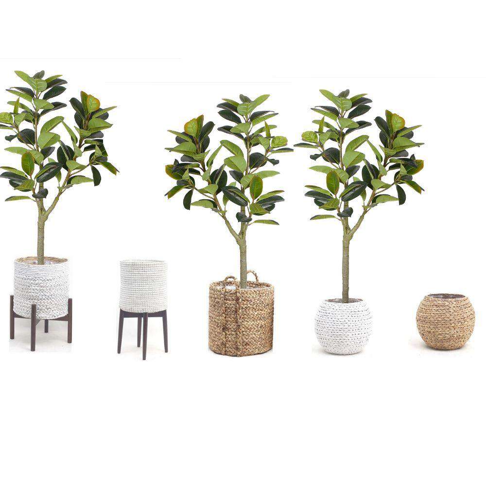 Nero Artificial Rubber Potted Plant 5' 