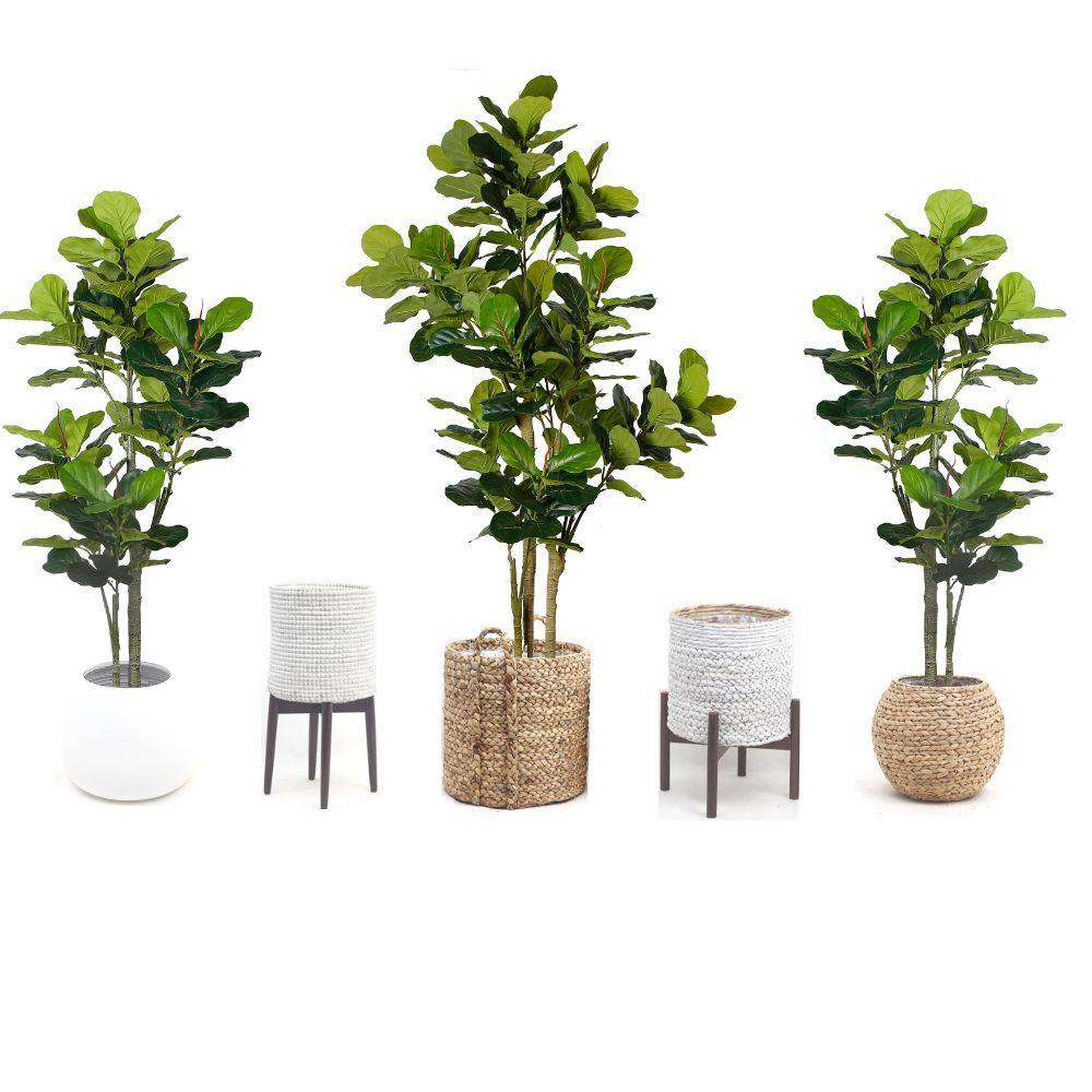 Nora Artificial Fiddle Leaf Potted Plant (Multiple Sizes) 