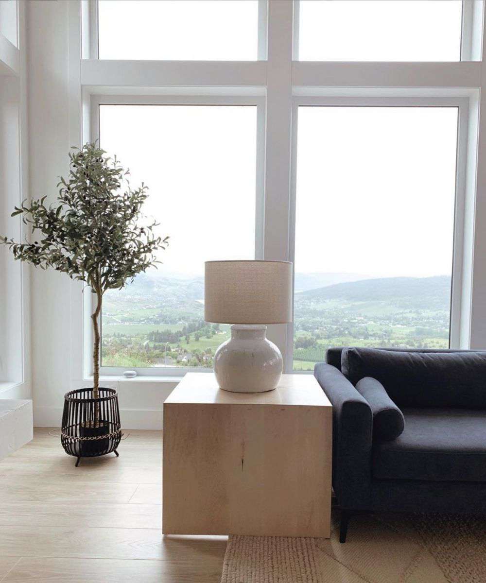 Oli Artificial Olive Tree Potted Plant (Multiple Sizes) 