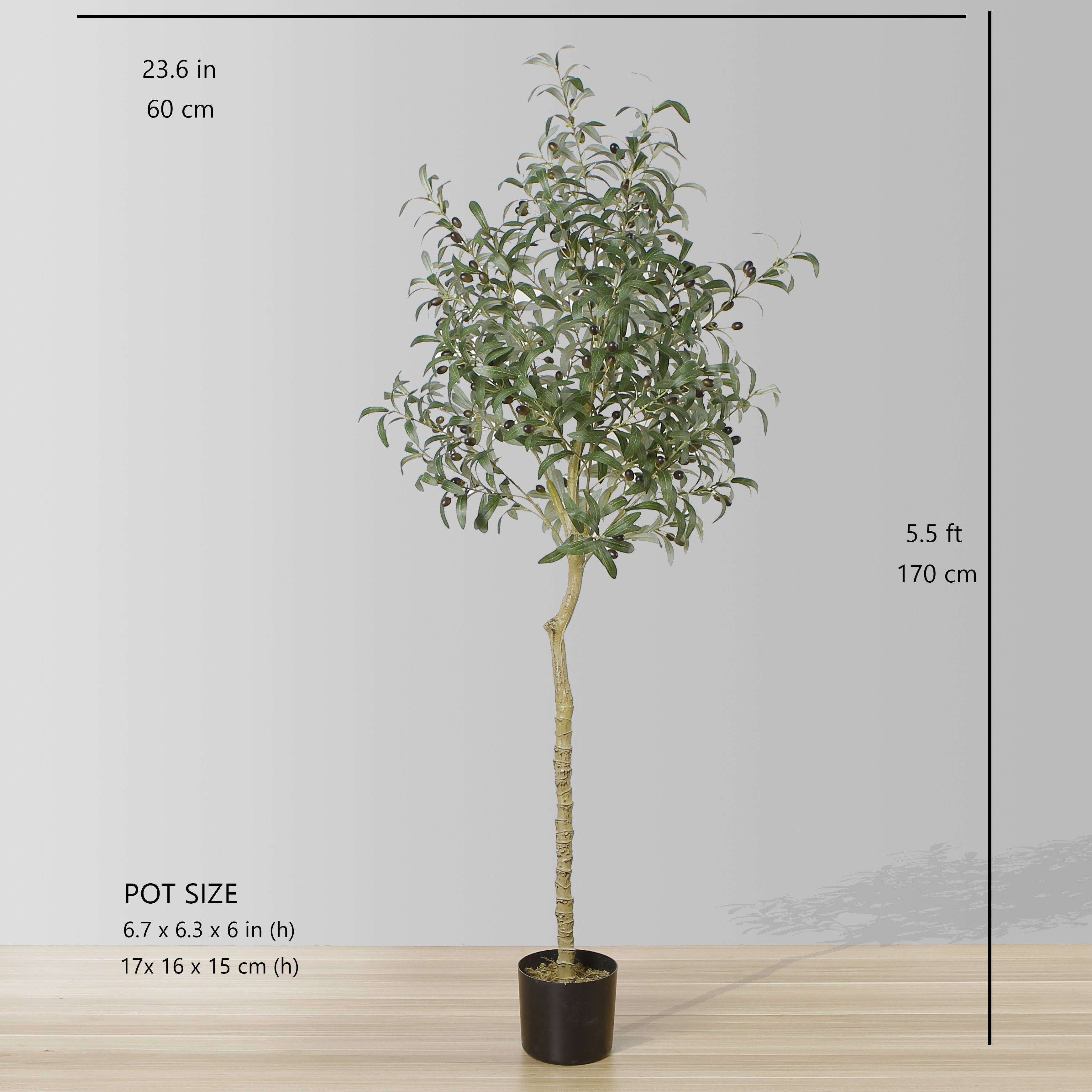 Oli Artificial Olive Tree Potted Plant (Multiple Sizes) 