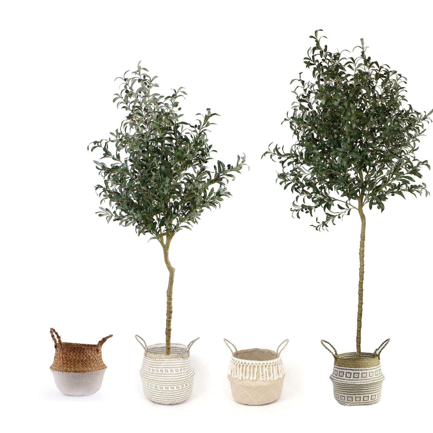 Oli Artificial Olive Tree Potted Plant (Multiple Sizes) 