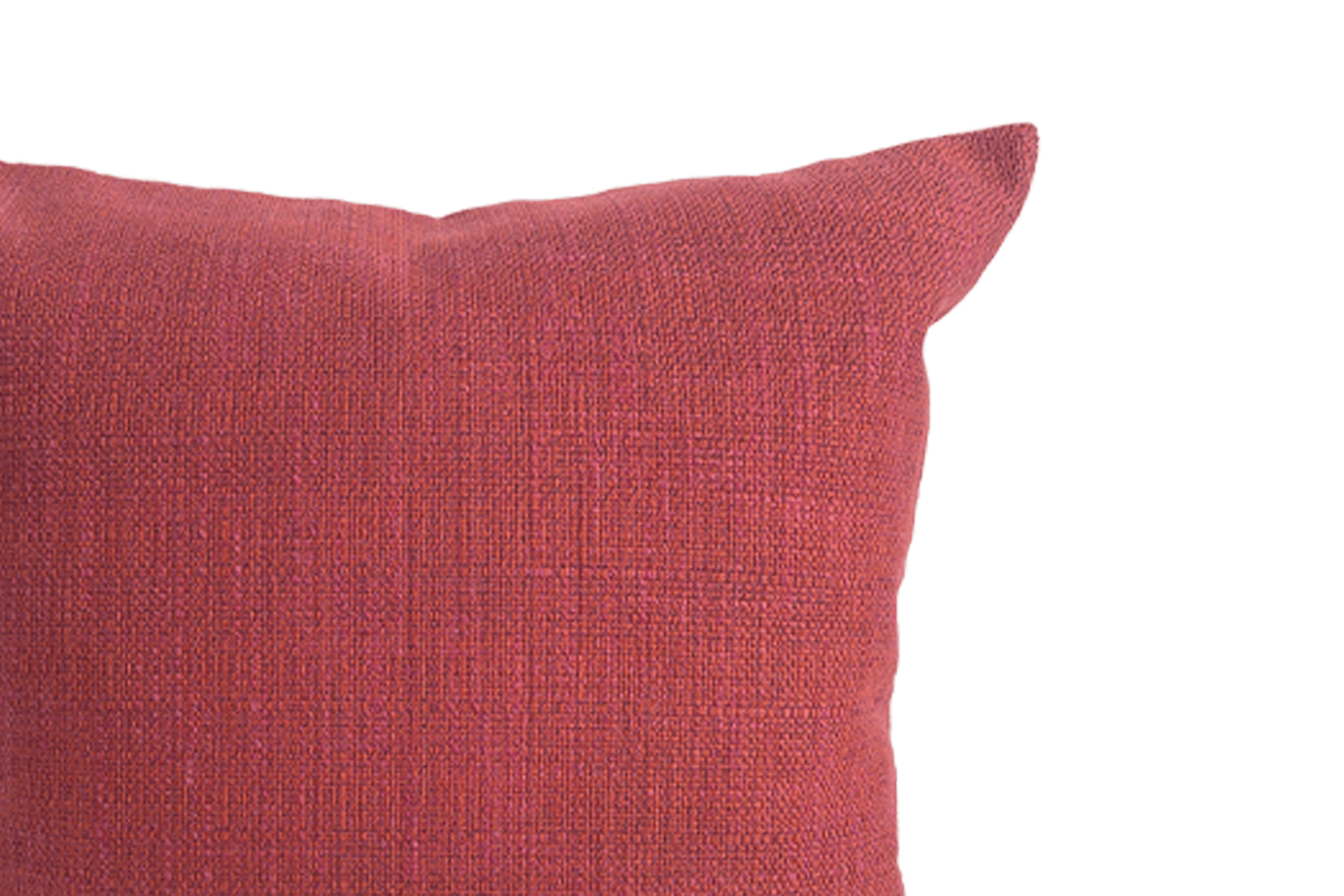 Orchid Cushion Cover 