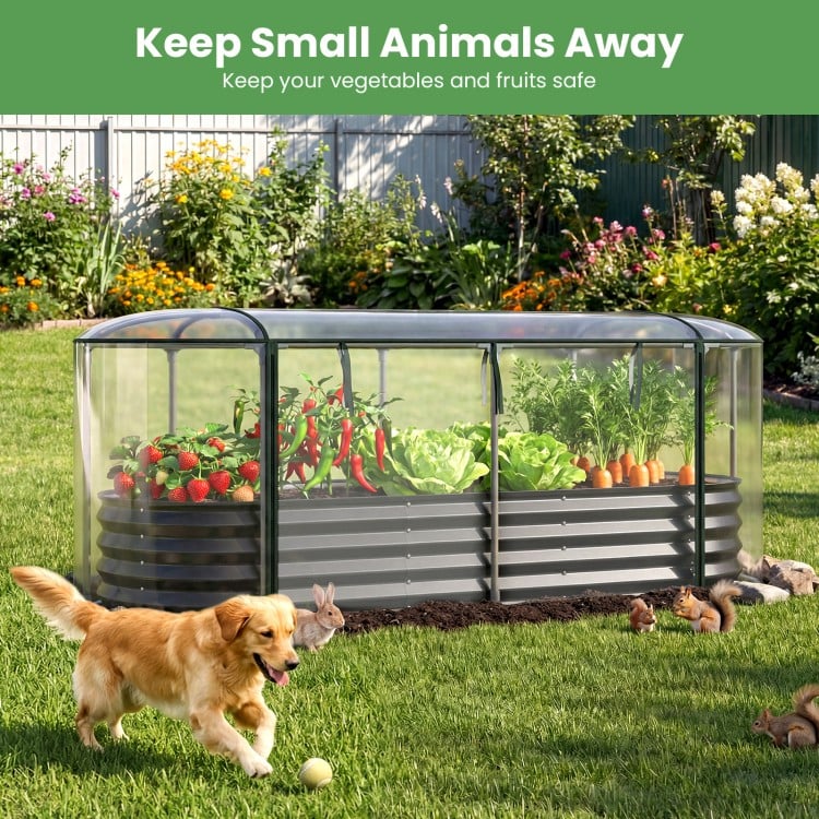 Outdoor Color Steel Raised Garden Bed with Greenhouse Cover Roll-up Window-Black