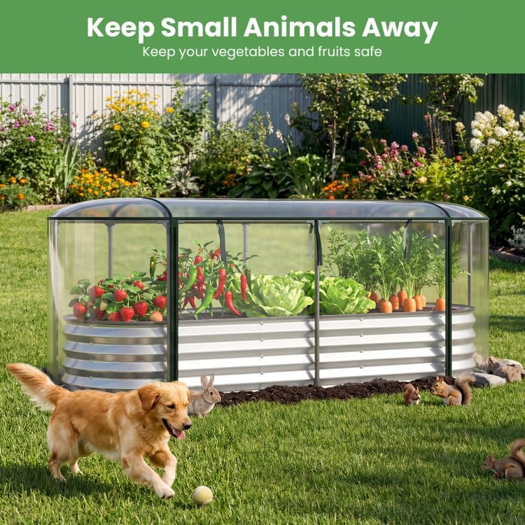 Outdoor Color Steel Raised Garden Bed with Greenhouse Cover Roll-up Window-Silver