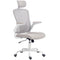 Ergonomic Office Chair, Mesh Desk Chair with Adjustable Headrest, Lumbar Support and Height, Flip-Up Armrests, Grey