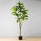 Piña 5’ Artificial Fiddle Leaf Potted Plant – Realistic Faux Indoor Greenery for Home or Office Décor