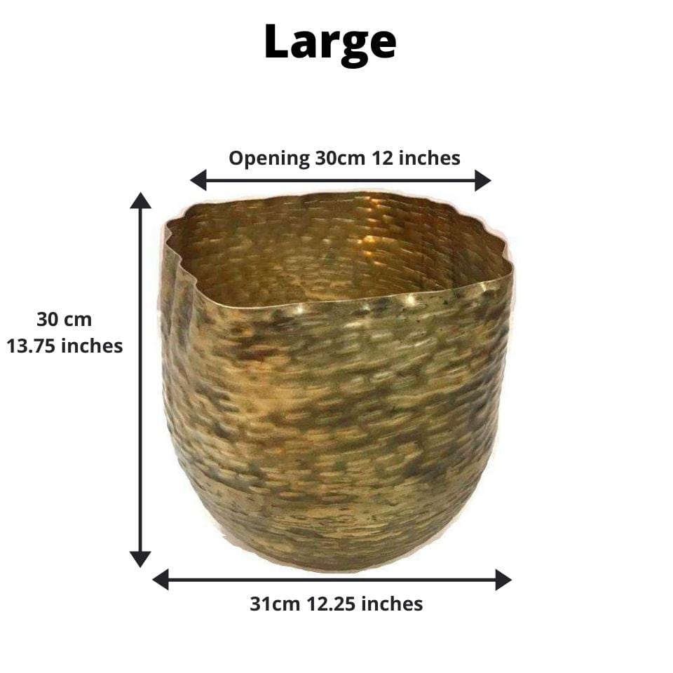 Poloma - Brass Basket Planter (Multiple Sizes) 