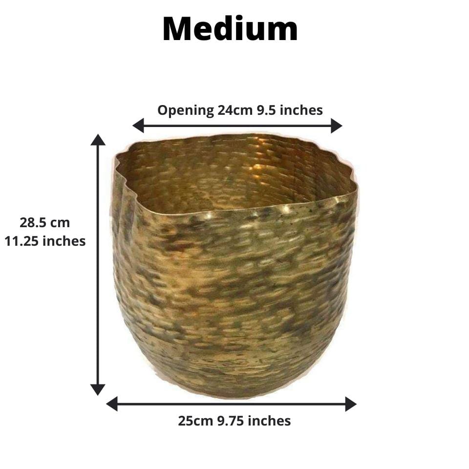 Poloma - Brass Basket Planter (Multiple Sizes) 