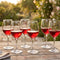 Wine Glasses, Set of 6, 310 ml (10.5 oz) Goblets – Maldive