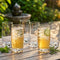 Highball Glasses, Set of 6, 387 ml (13.1 oz) Tall Drinking Glasses – Sylvana