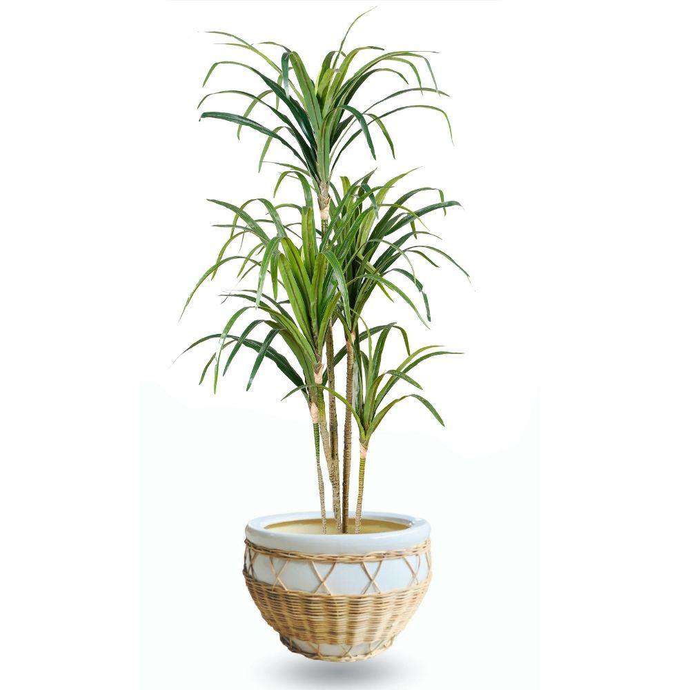 Pura Ceramic Planter 12'' 