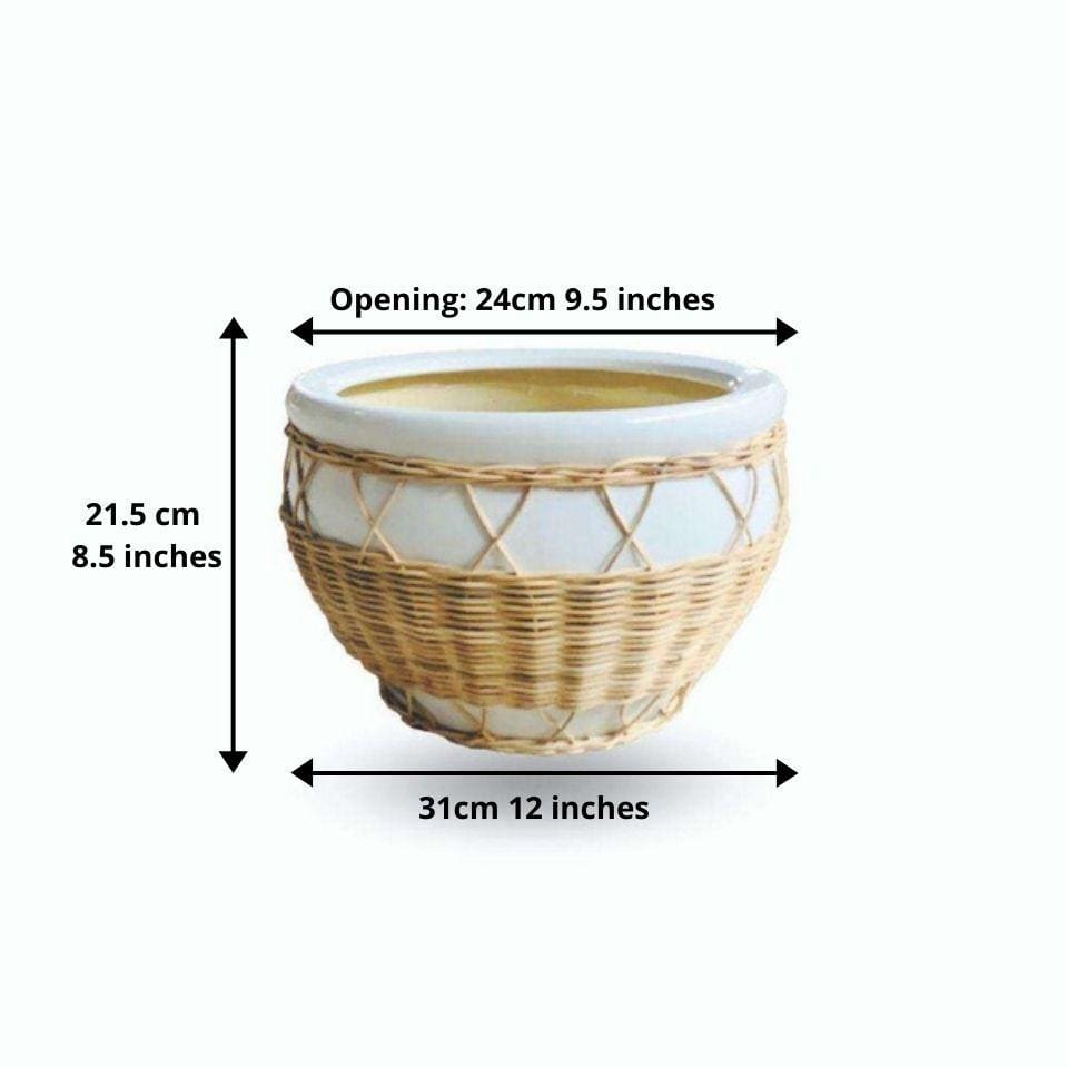 Pura Ceramic Planter 12'' 