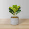 Panuco Potted Faux Fiddle Plant – 1.2ft Lifelike Artificial Fiddle Leaf Fig for Home or Office Décor