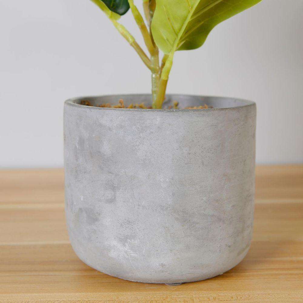 Panuco Potted Faux Fiddle Plant 