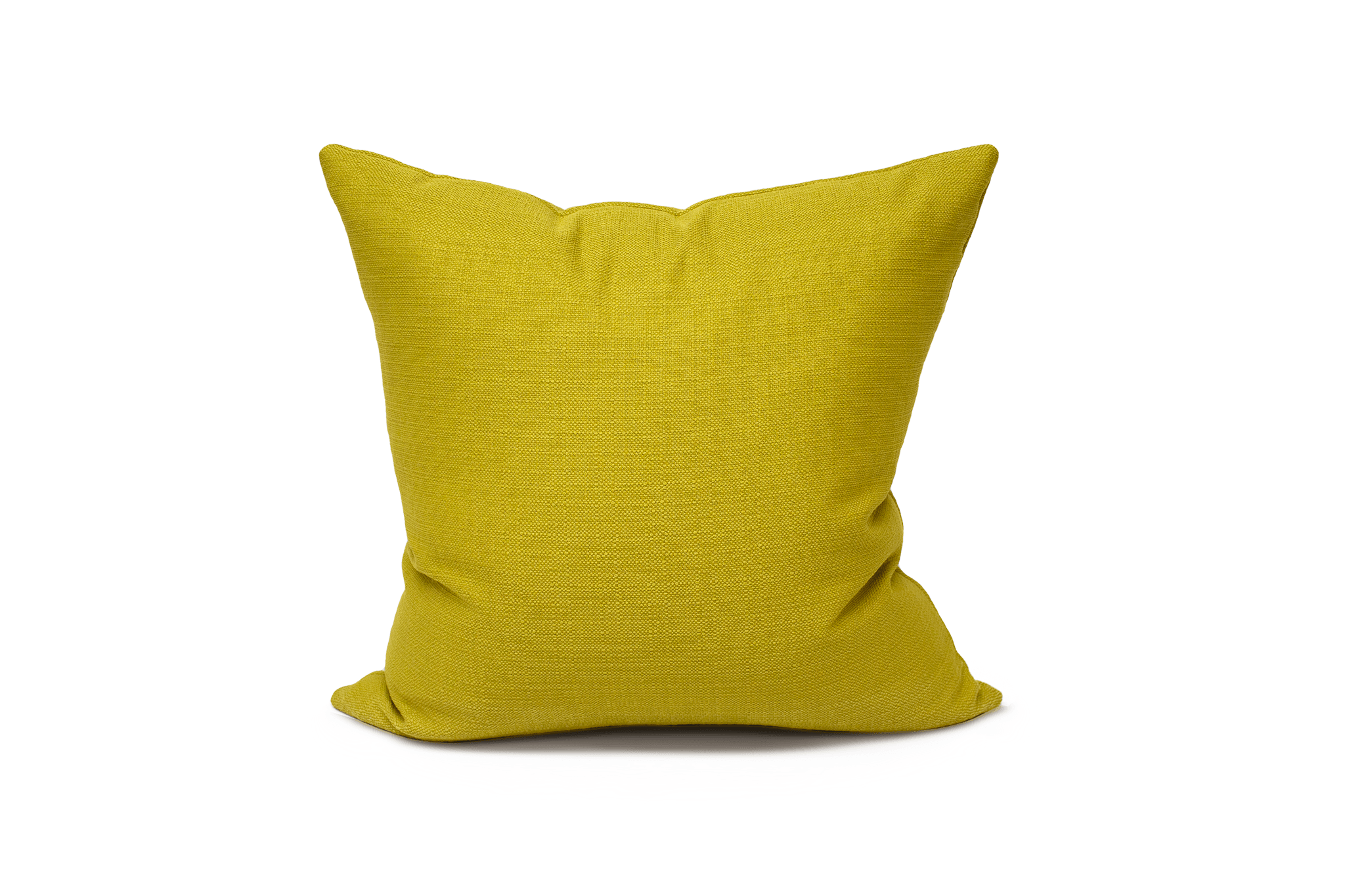 Green Apple Cushion Cover 