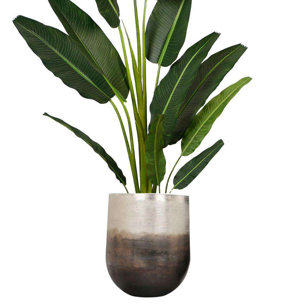 Petra - Brass Planter (Multiple Sizes) 