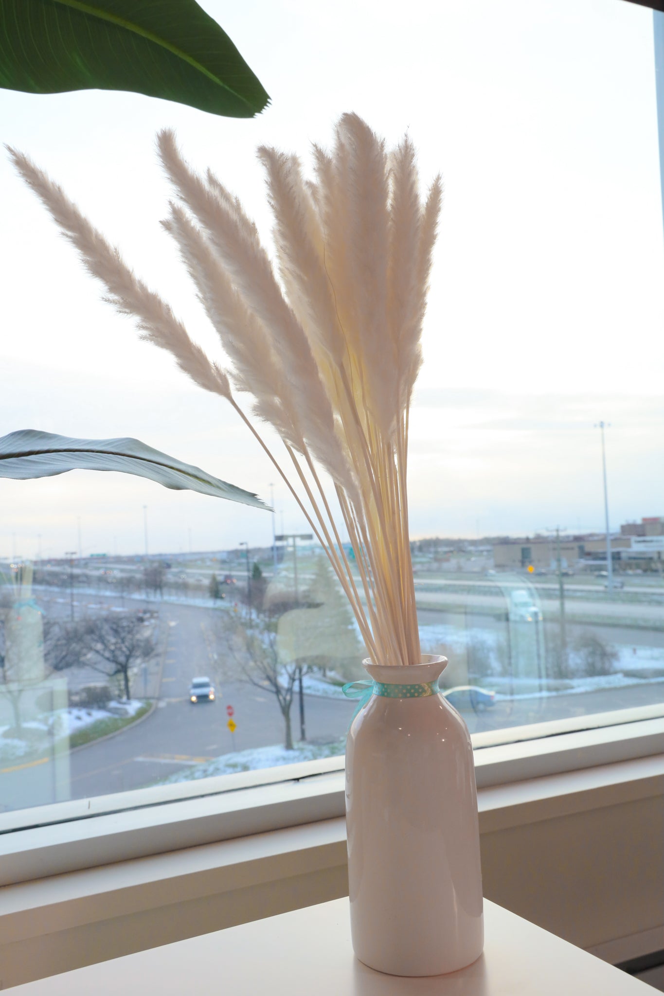 Beige Pampas Bouquet 26'' (Set Of 30) 