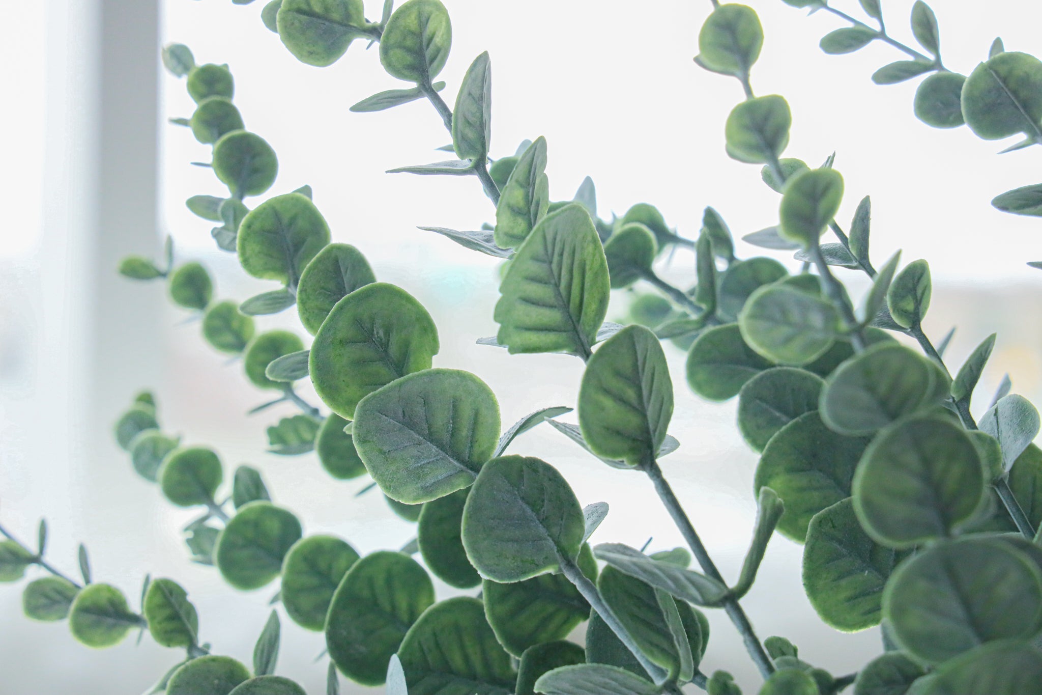 Montana Artificial Eucalyptus Bouquet 31'' X 8'' (Set Of 3) 