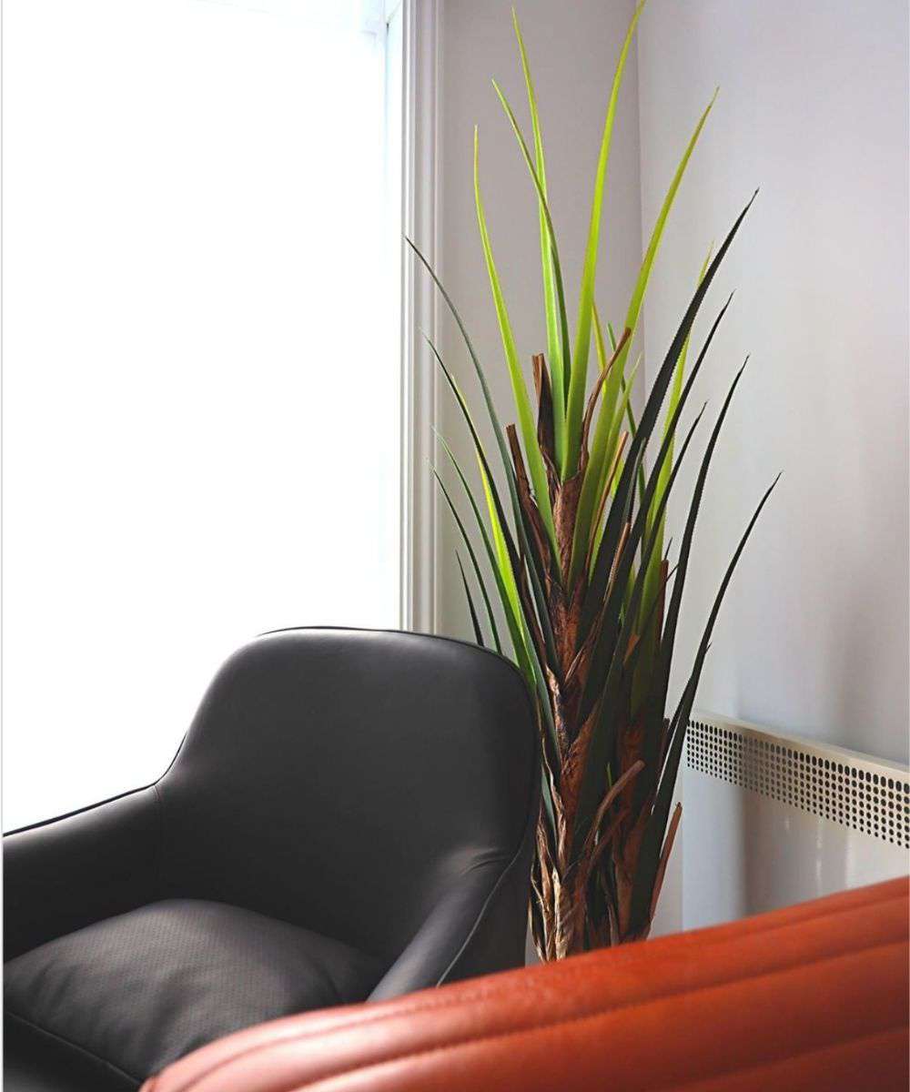 Ralu Aloe Artificial Tree Potted Plant (Multiple Sizes) 