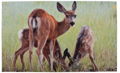 Doormat deers. Recycled 