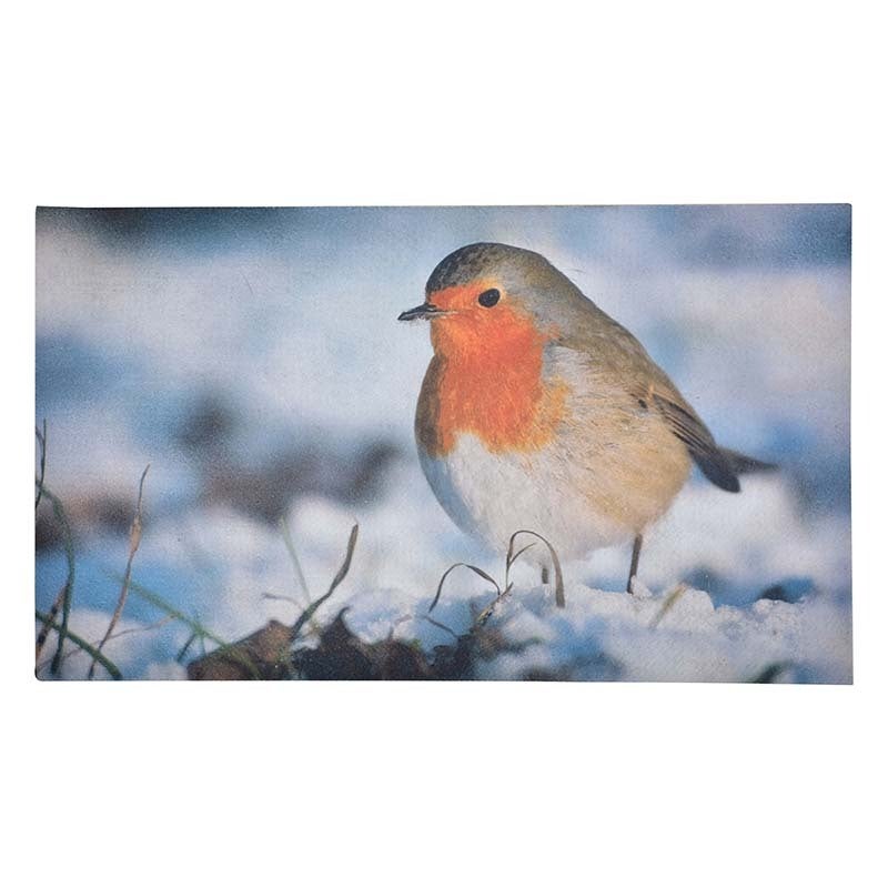 Doormat Robin 