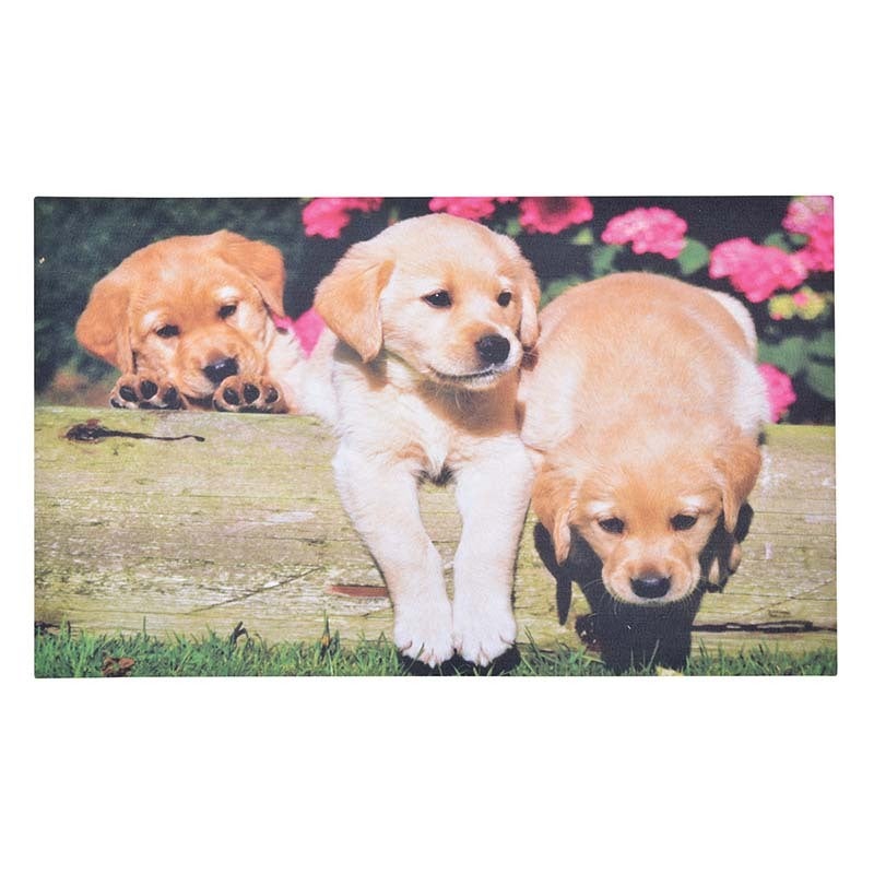 Doormat Puppies 