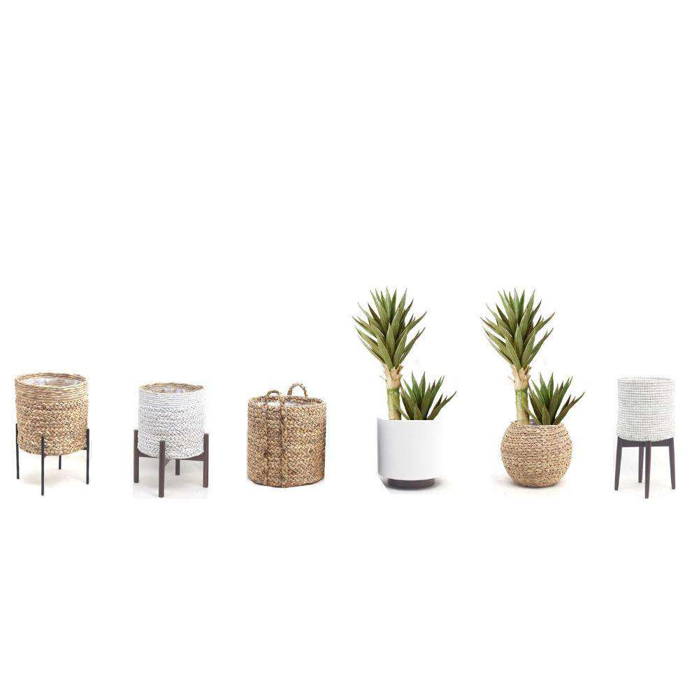 Remi Artificial Aloe Tree Potted Plant 3' 