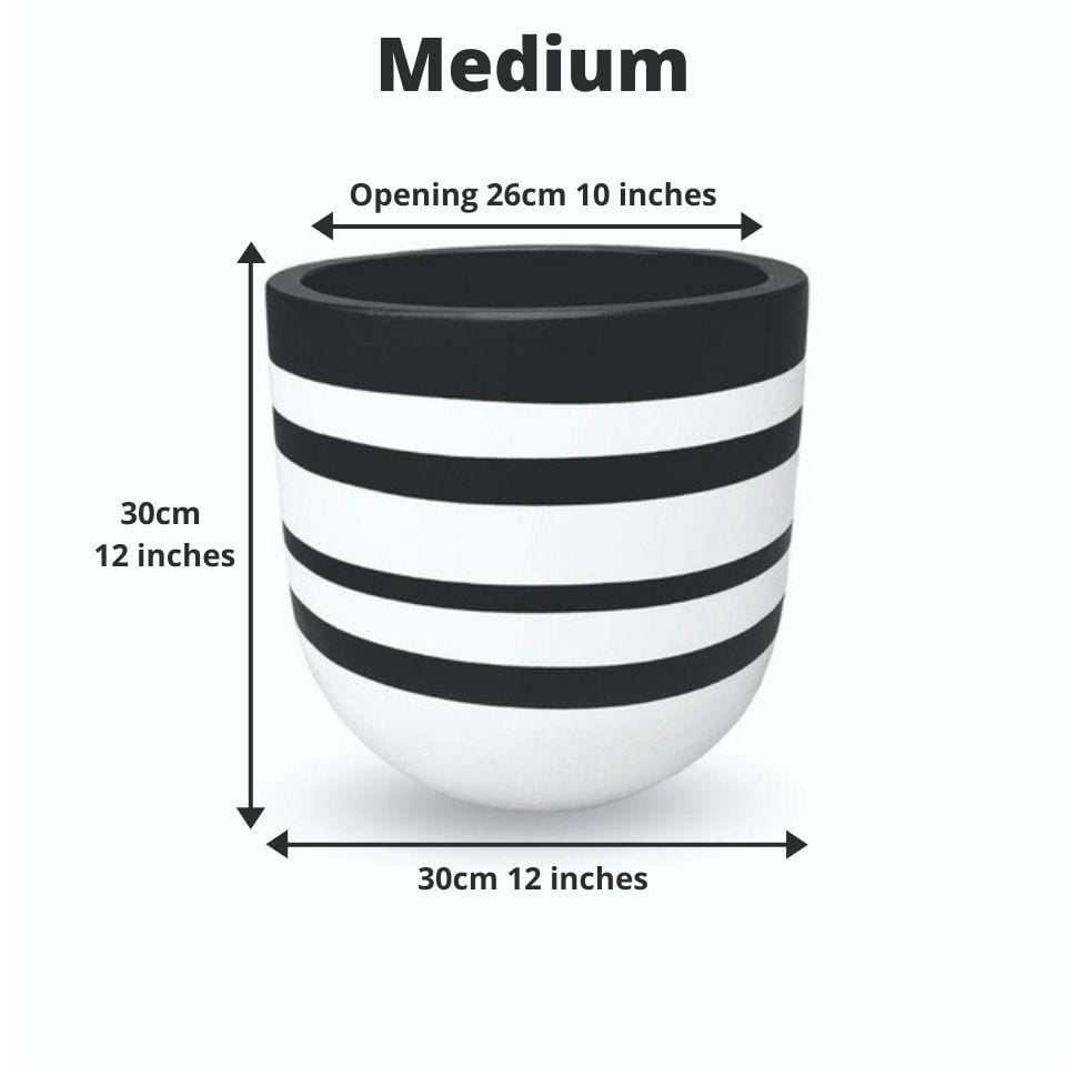 Rovos Cement Planter (Multiple Sizes) 