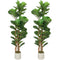 5FT Artificial Fiddle Leaf Fig Tree Set of 2, Fake Potted Tree with Solid Wood Trunks for Indoor Decor, Green