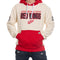 Detroit Red Wings NHL Unisex Reverse Terry Retro Premium Hoodie