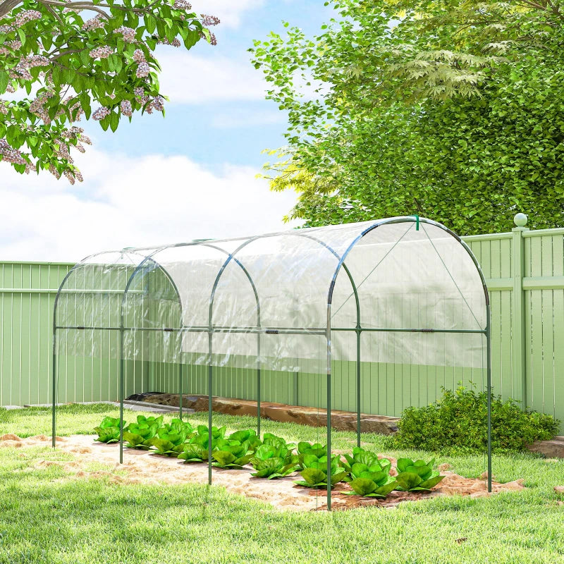 Tunnel Tomato Greenhouse with 4 Hoops and Top Tap, Pointed Bottom and Guy Ropes, 157.5" x 47.2" x 66.9", Clear