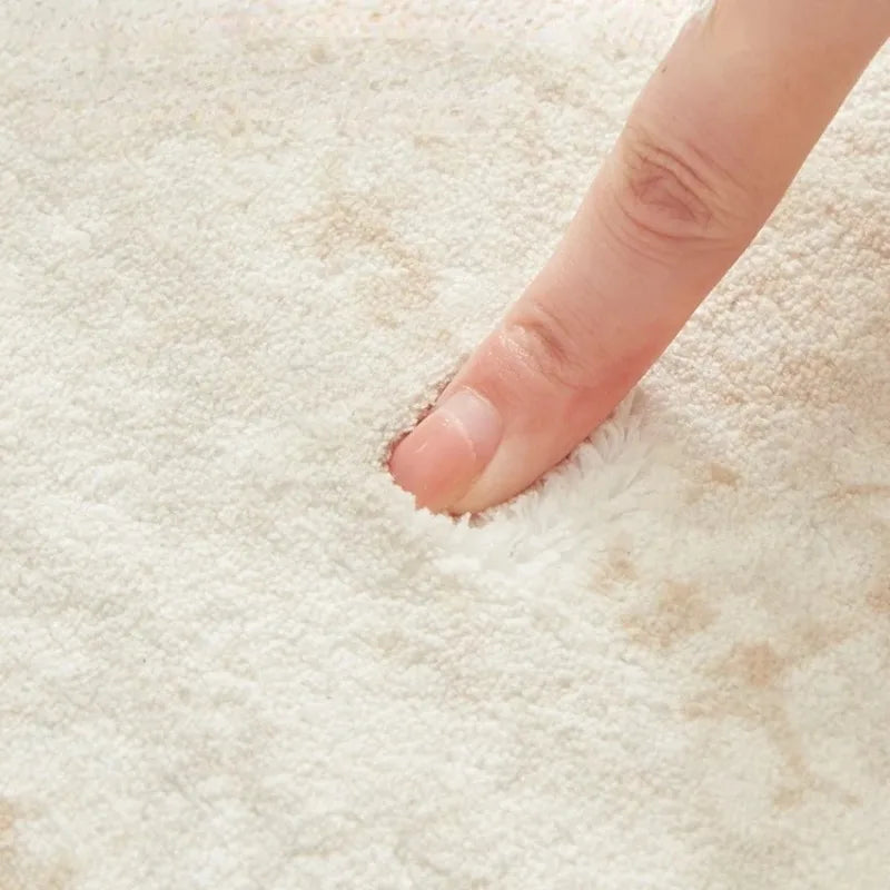 Light Luxury French Style Carpets for Living Room Fluffy Soft Bedroom Decor Plush Carpet Large Area Thick Rug Home Floor Mat 