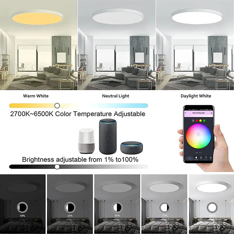 Tuya WiFi Smart LED Ceiling Light – AC220V, 24W RGB, Round Light for Bedroom and Living Room, Compatible with Alexa and Google Home 