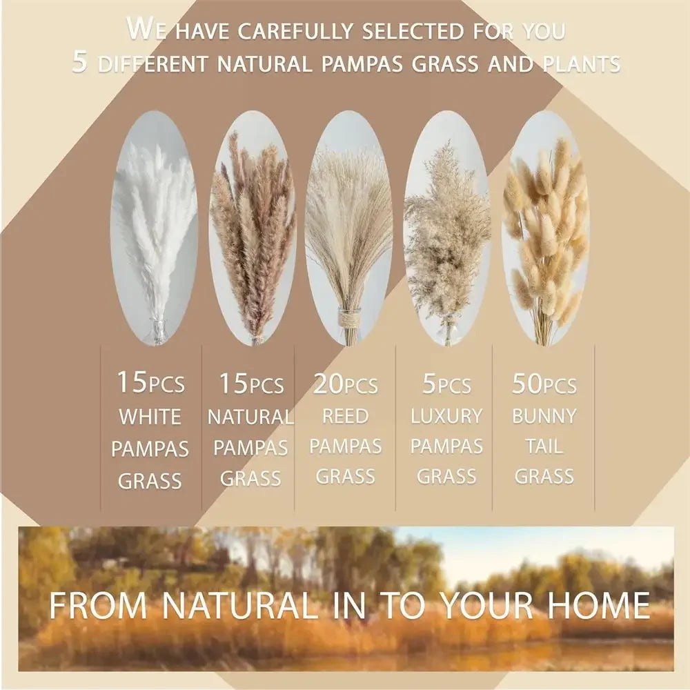 105pcs Natural Dried Flowers Pampas Floral Bouquet Boho Country Home Decoration Rabbit Tail Grass Reed Wedding Decor Arrangement 