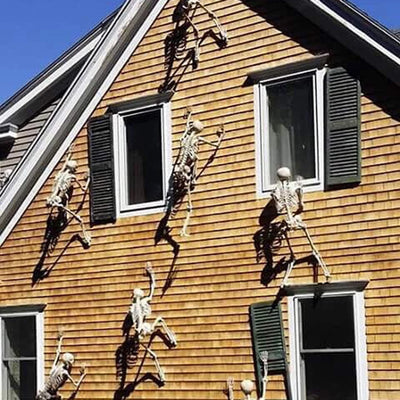 Halloween Movable Skeleton Fake Human Skull Bones Halloween Party Home Bar Decorations Haunted House Horror Props Ornament Toys 