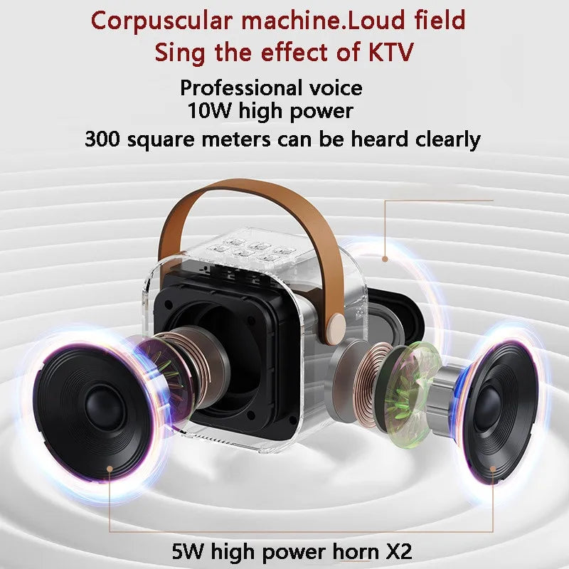 K12 Portable Karaoke Machine - Bluetooth 5.3 PA Speaker System with 1-2 Wireless Microphones, Ideal for Home, Family Singing, and Kids' Xmas Gifts 