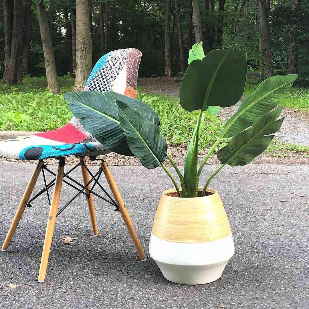Sal M - Bamboo Floor Planter 