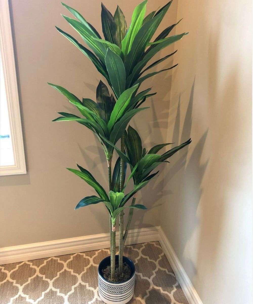 Samy Artificial Dracaena Fragrans Potted Plant 51'' 