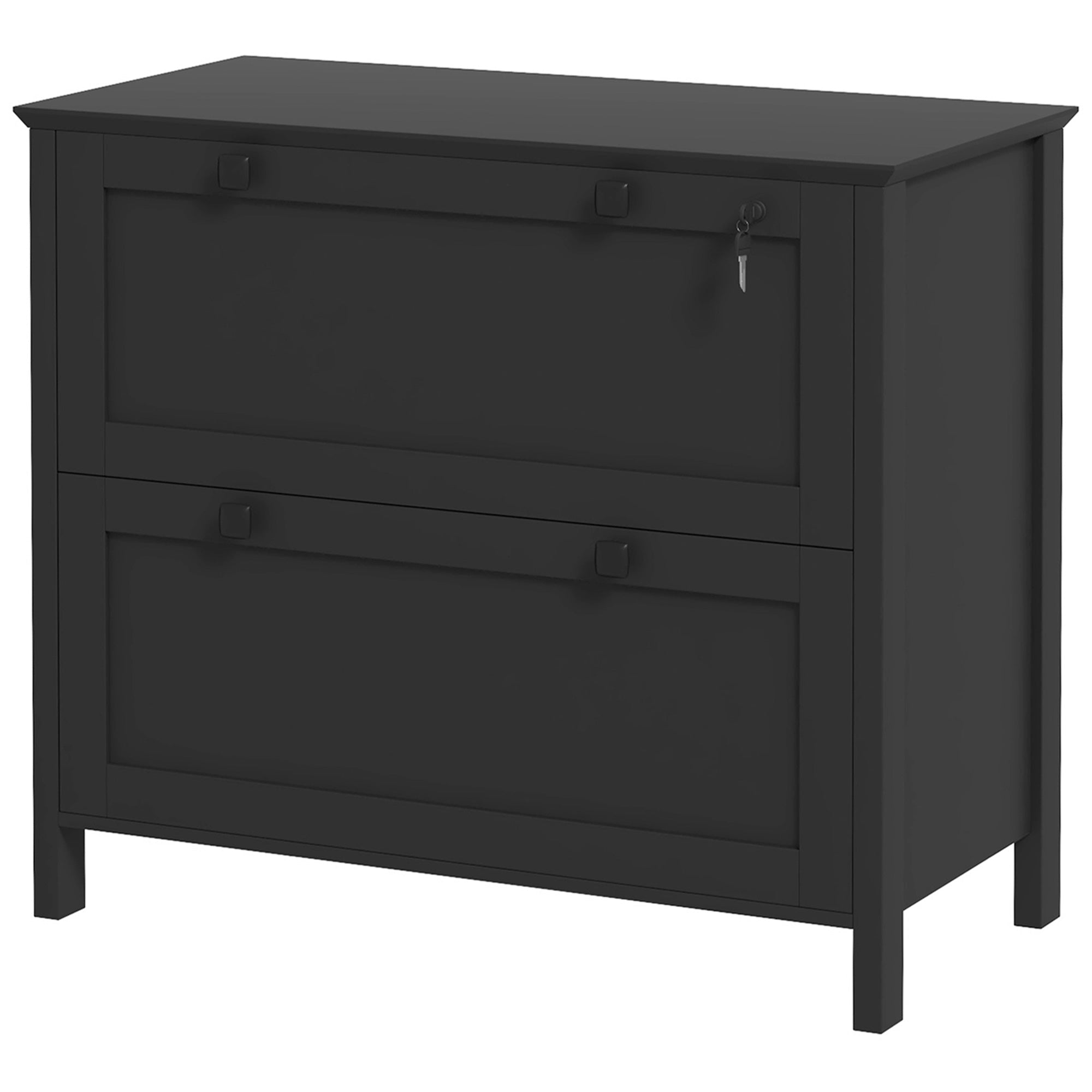 HOMCOM Lockable 2 Drawer File Cabinet for Letter, A4, Legal Size Documents with Adjustable Hanging Bar in Black 