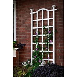 79-inch Outdoor Lattice Panel Garden Plant Trellis - Free Shipping