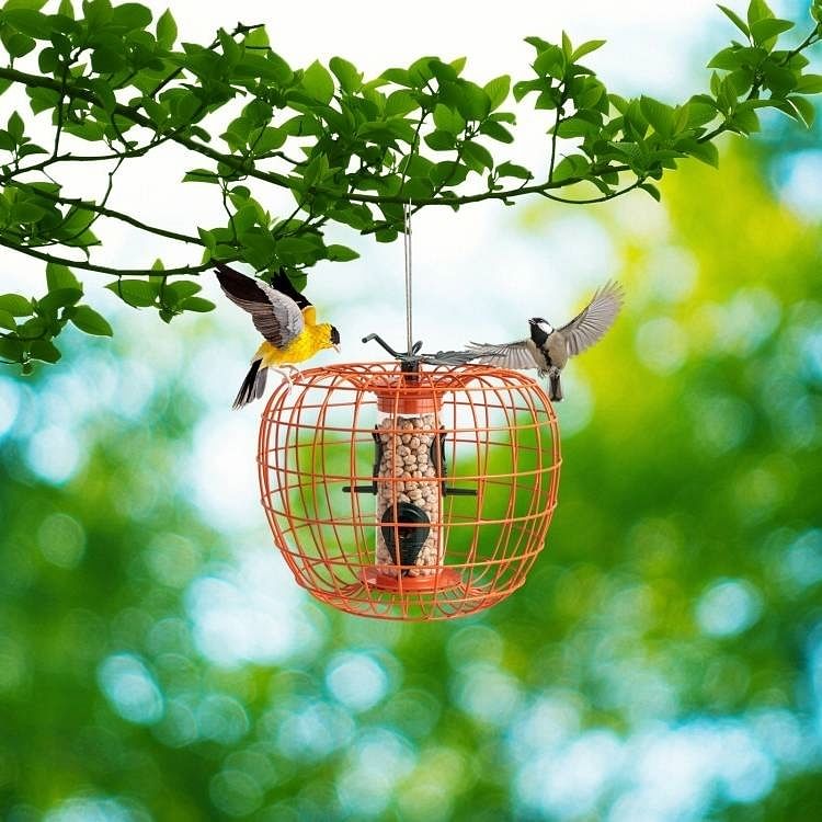Outdoor Squirrel Resistant Orange Metal Mesh Small Bird Feeder - Free Shipping 