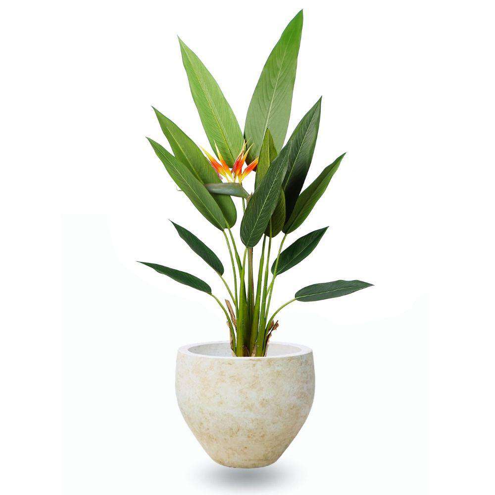 Sadira Cement Planter (Multiple Sizes) 