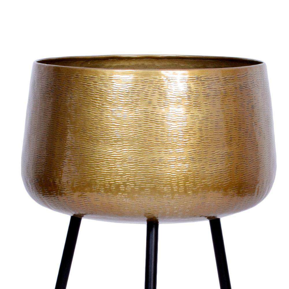 Sara - Brass Planter With Black Legs 