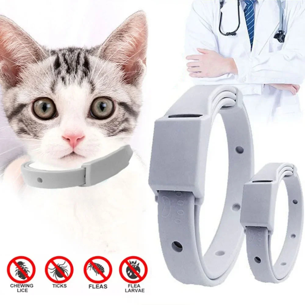 Anti Flea Tick Collar For Cat Small Dog Antiparasitic 8Month Protection Adjustable Puppy Kitten Collar Breakaway Pet Accessories 