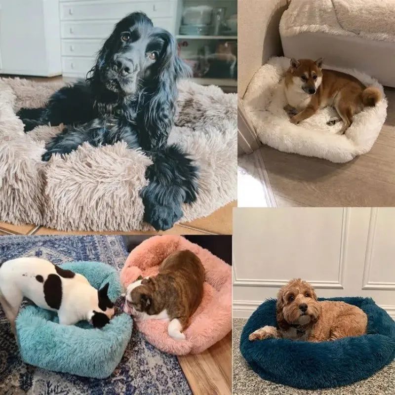 Rectangle Plush Dog Bed Winter Warm Mat Small Medium Big Pet Cat Dog Bed Kennel Puppy Sofacama Cat Cushion Pets Sofa Accessories 
