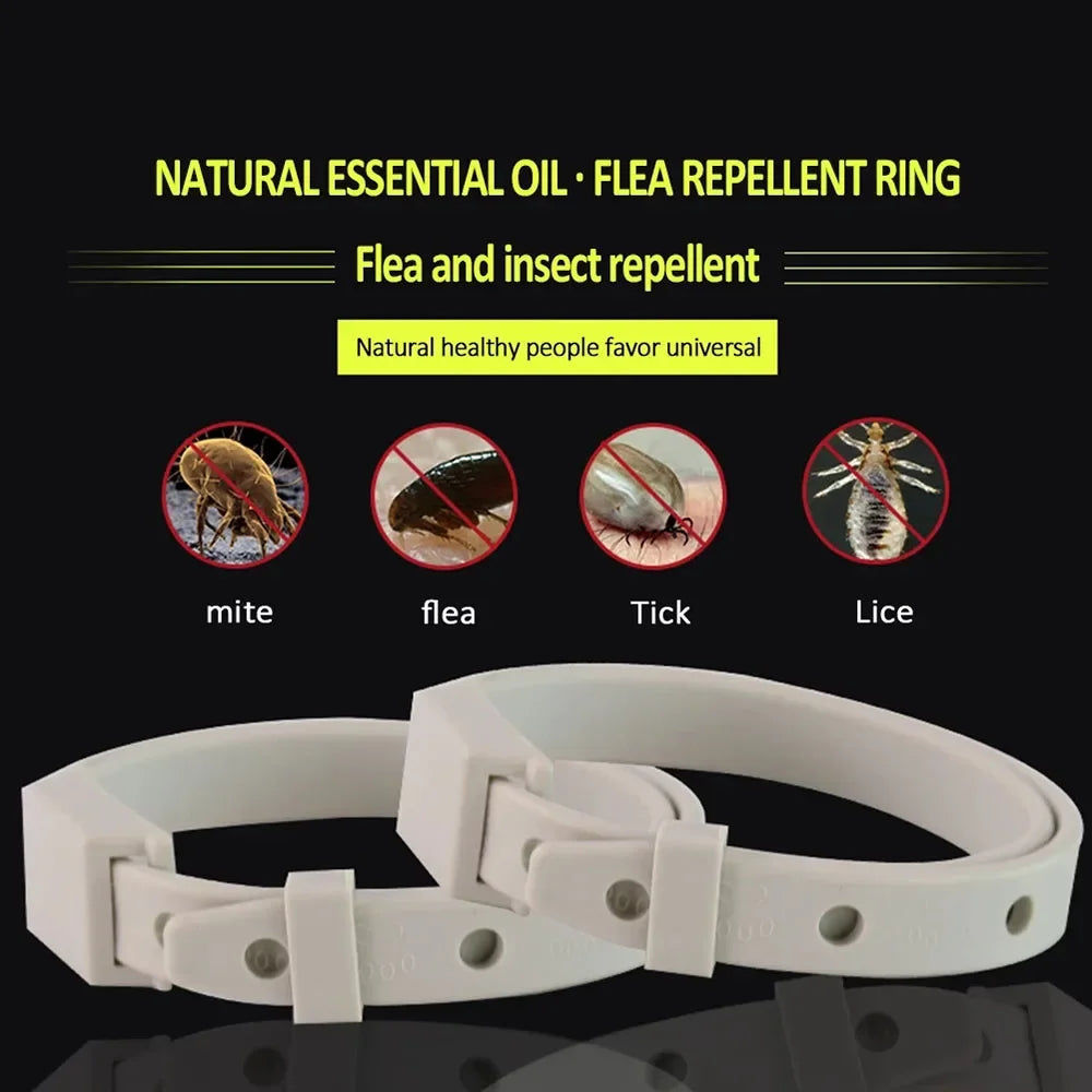 Anti Flea Tick Collar For Cat Small Dog Antiparasitic 8Month Protection Adjustable Puppy Kitten Collar Breakaway Pet Accessories 