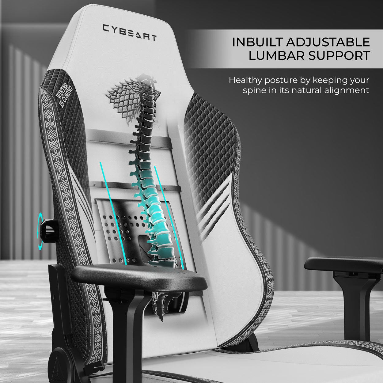 House Stark Gaming Chair 