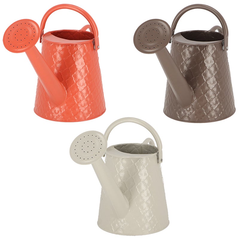 Watering Can Desert Dream S ~ Assorted 