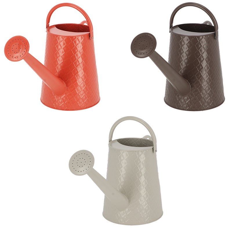 Watering Can Desert Dream L ~ Assorted 