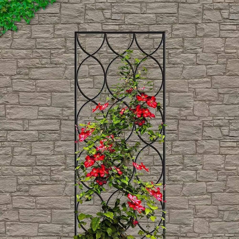 Modern 6-Ft Outdoor Metal Garden Trellis with Black Powder Coated Finish - Free Shipping